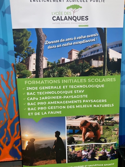 Les formations initiales scolaires du lycée des Calanques Les formations initiales scolaires du lycée des Calanques : seconde générale et technologique, Bac technologique STAV, CAP jardinier-paysagiste, Bac pro aménagements paysagers, Bac pro gestion des milieux naturels et de la faune