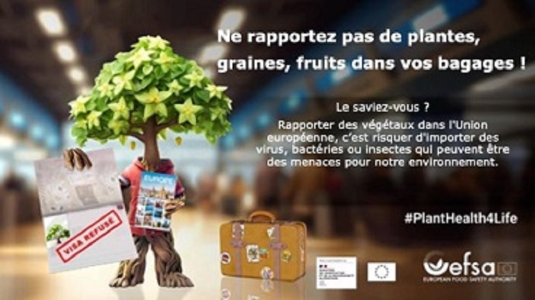 Ne rapportez pas de plantes, graines, fruits dans vos bagages !